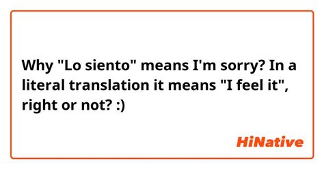 lo siento meaning|lo siento literal translation.